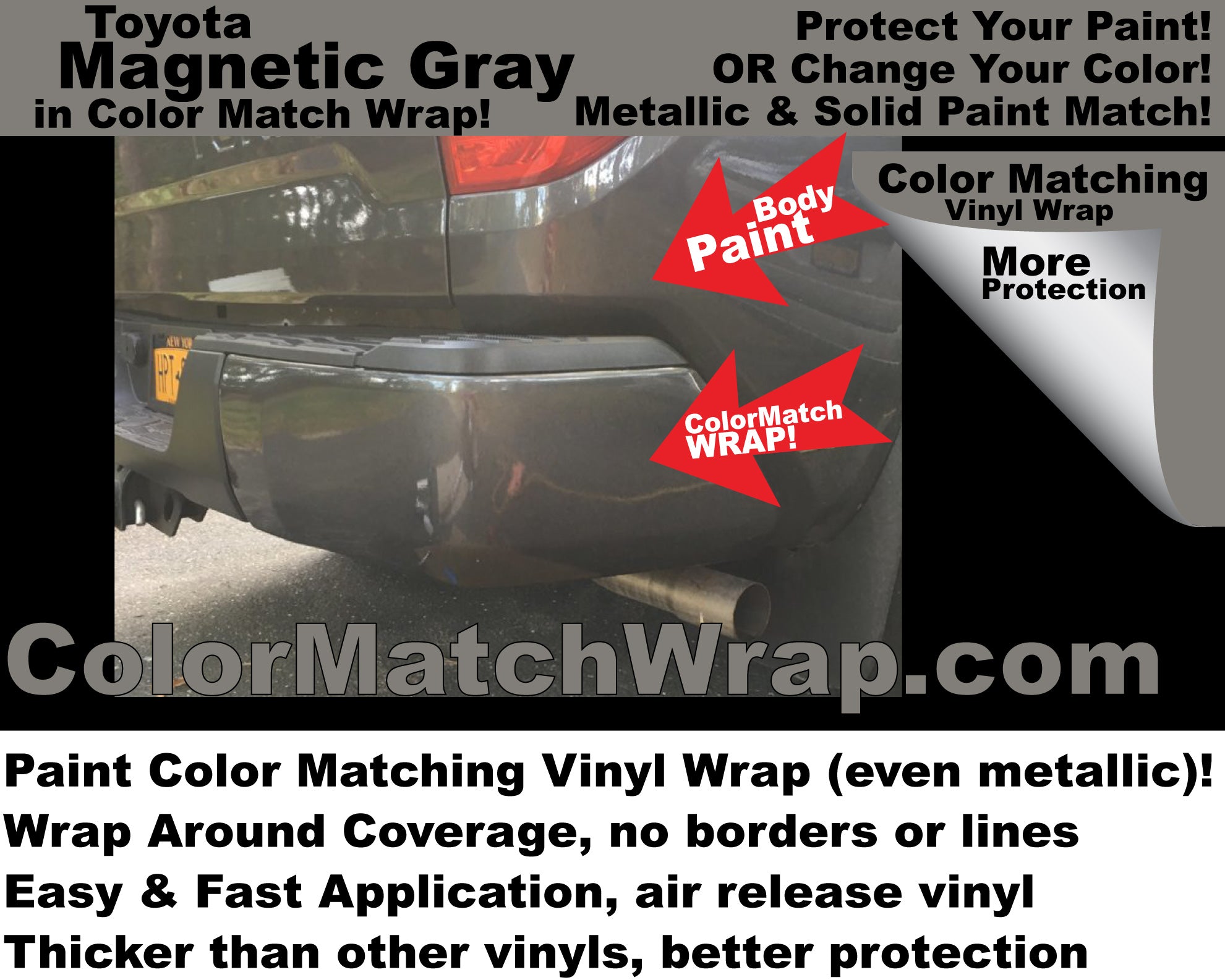 Ford D1 Stone Gray Chrome Delete Paint Color Matching Wrap